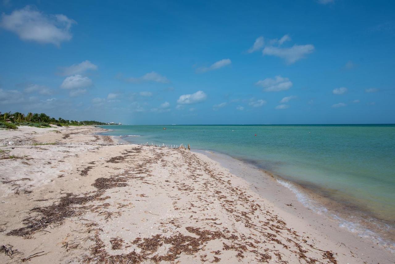 97982 New Modern Villa, Private Pool, High Internet Speed, 2 Blocks From The Beach Chicxulub Exterior photo